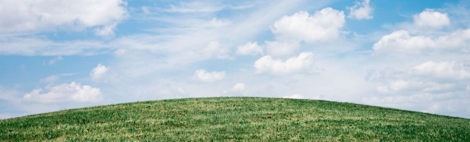 What is Earth Day?  - Brand Threads