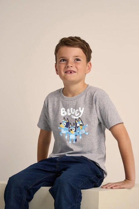 Bluey Unisex T Shirt Grey - Brand Threads