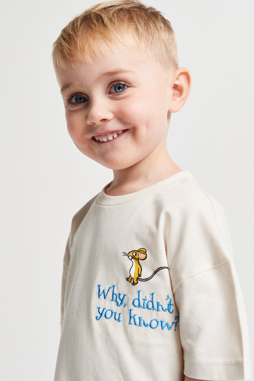 Boys Gruffalo T-shirt & Shorts Set - Brand Threads