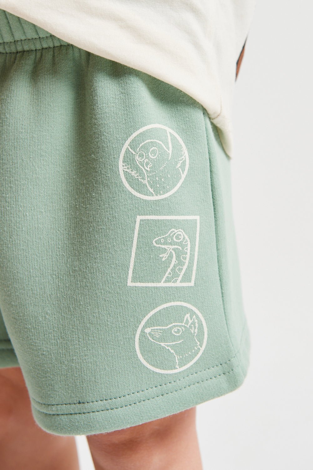 Boys Gruffalo T-shirt & Shorts Set - Brand Threads