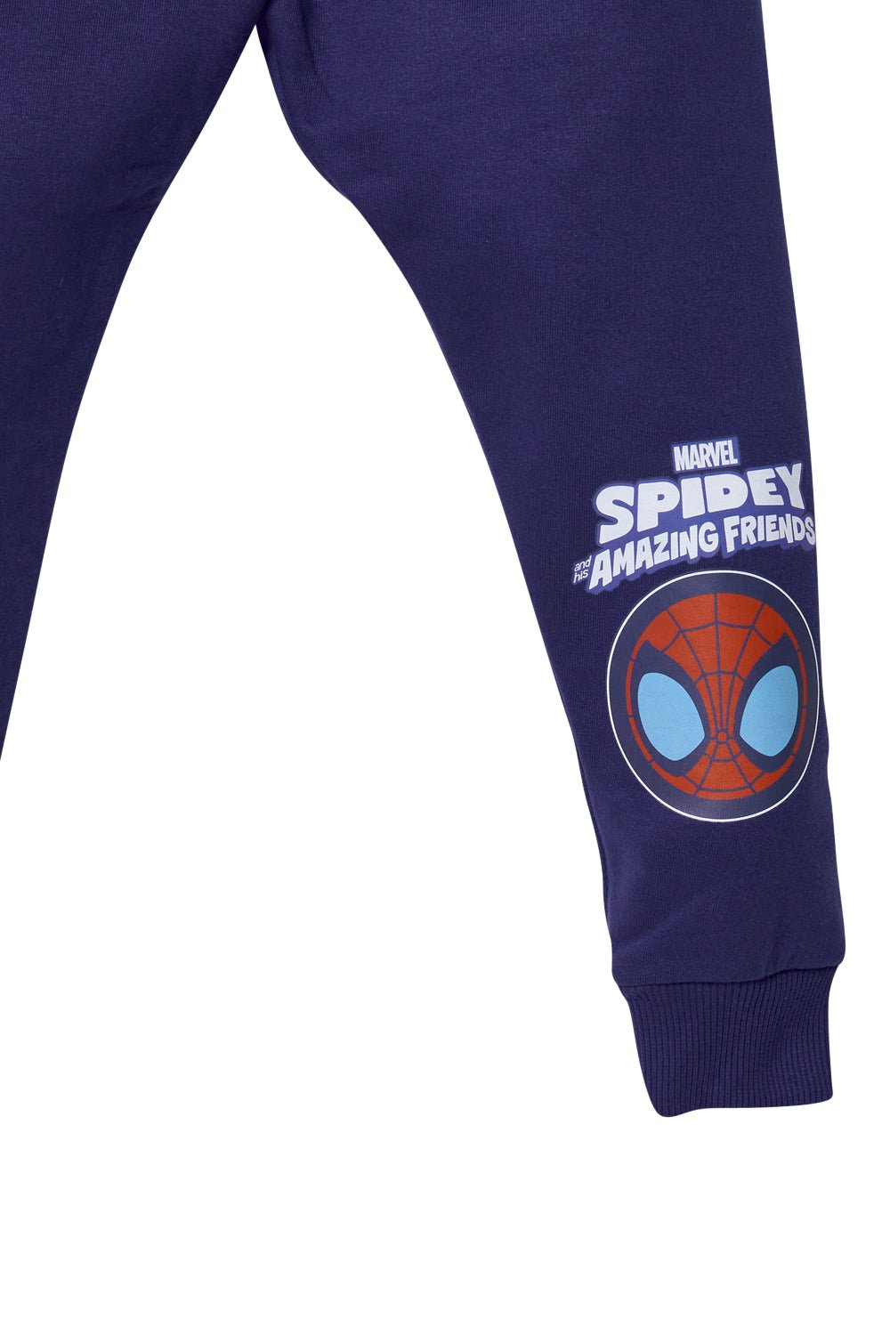 Spidey and Friends Boys Jogger Set - Brand Threads