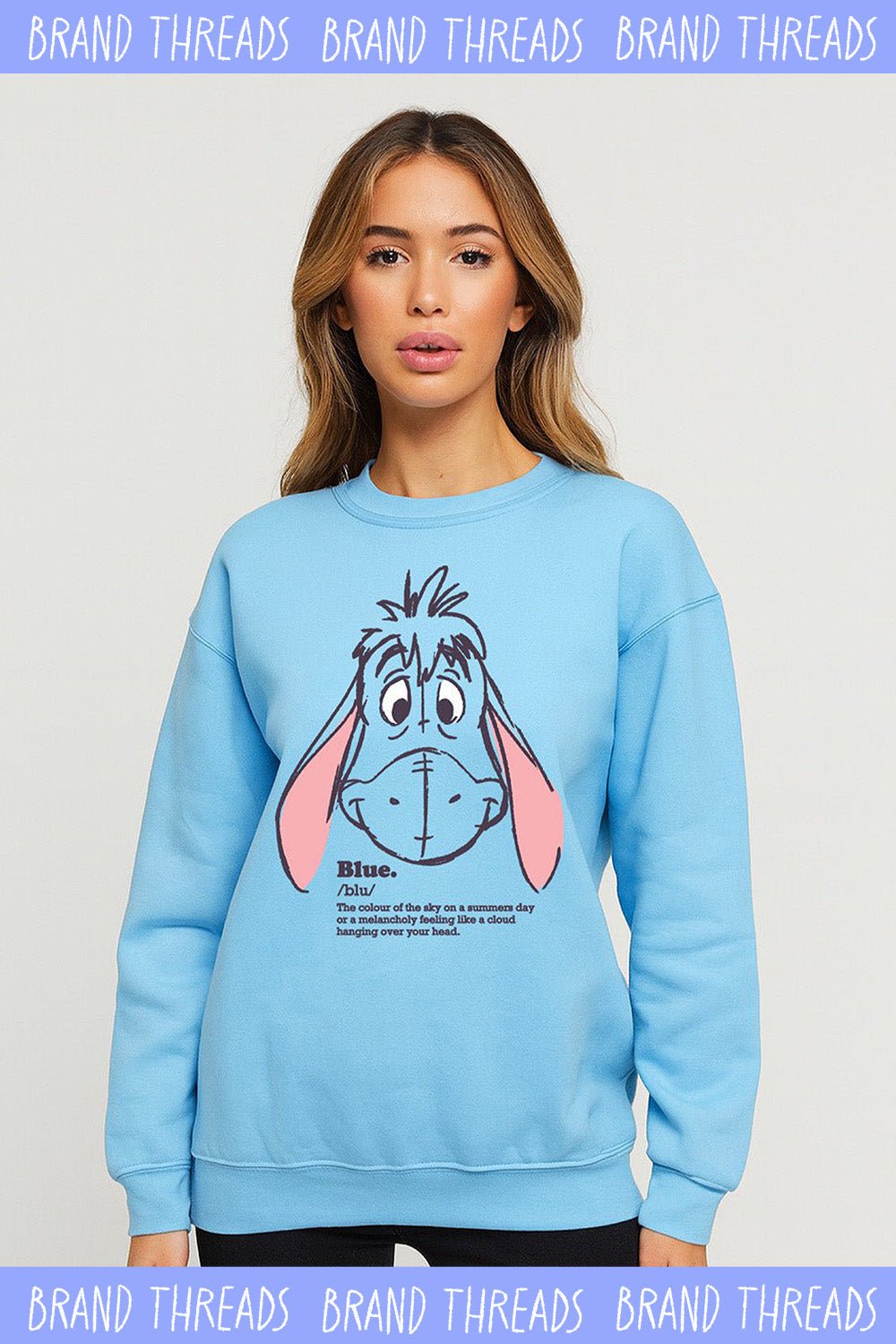 Winnie the Pooh ladies sweater – Eeyore sky blue sweatshirt - Brand Threads