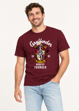 Harry Potter Gryffindor Unisex Adults Red T-Shirt