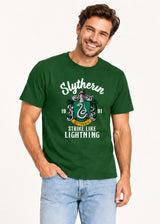 Harry Potter Slytherin Unisex Adults Green T-Shirt