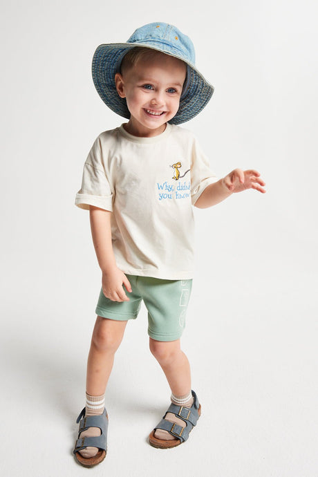 Boys Gruffalo T-shirt & Shorts Set - Brand Threads