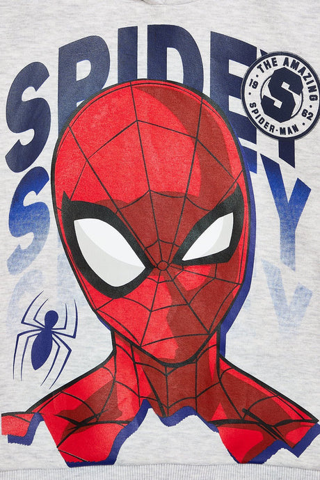 Boys Spiderman Hoodie - Brand Threads