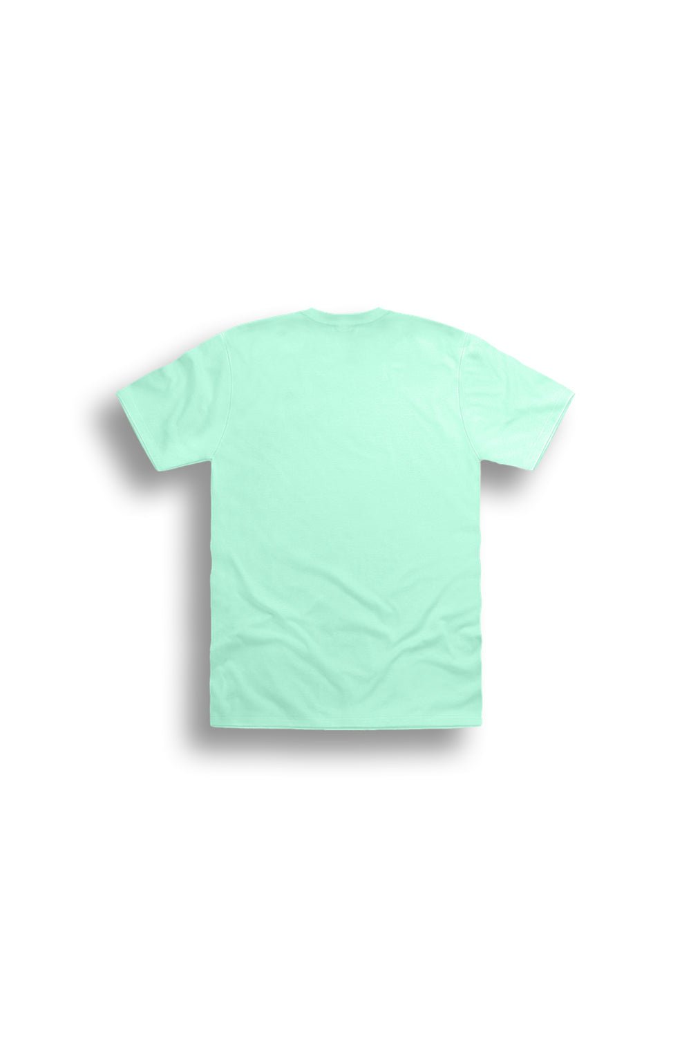 Sanrio Cinnamoroll Girls Mint T-Shirt Short Sleeve Cotton Tee - Brand Threads
